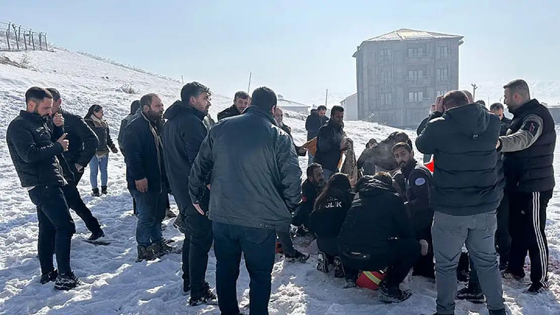 Sahipsiz köpeklerin saldırısına uğrayan çocuk hayatını kaybetti