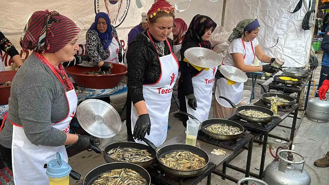 Bodrum'da hamsi festivali yapıldı: 3 ton hamsi dağıtıldı