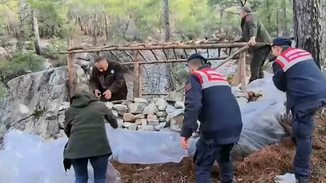 Avcıların ormana yaptığı kaçak barakalar yıkıldı