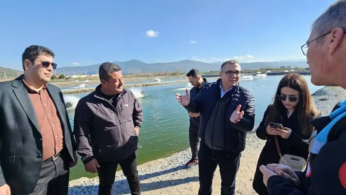 Azerbaycan heyeti, Muğla'da su ürünleri tesislerini inceledi