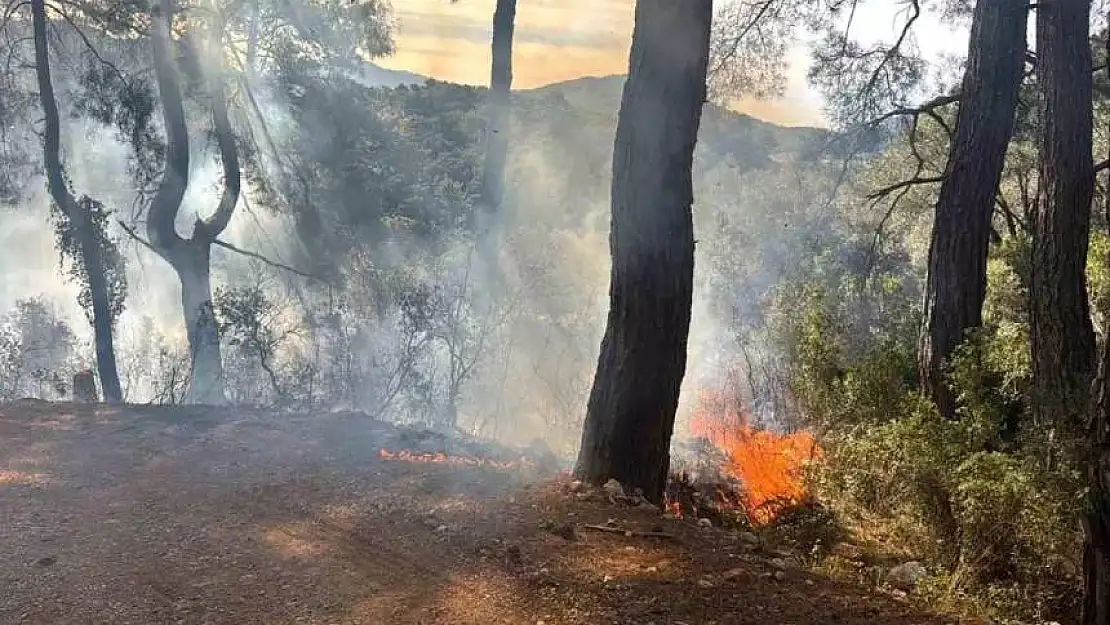 Fethiye'de orman yangını!