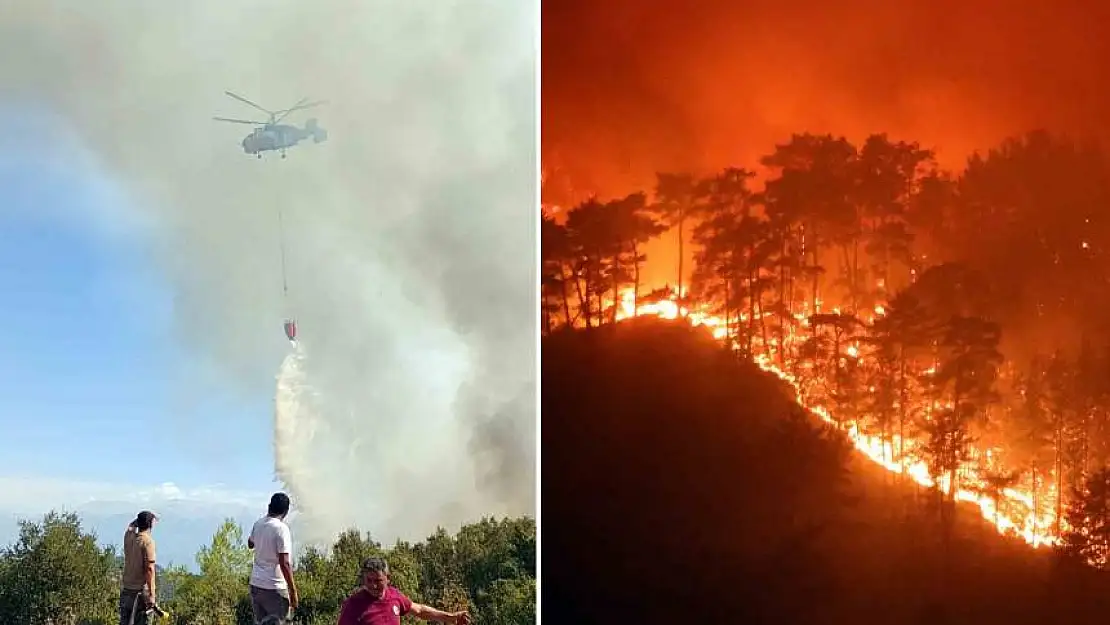 Muğla'da yazın günde ortalama 6 yangına müdahale edildi Yüzde 13'ü kasıtlı çıkarıldı!