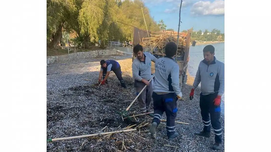 Rodos'un pisliği Datça'yı vurdu Yeniden temizlik çalışmaları planlandı