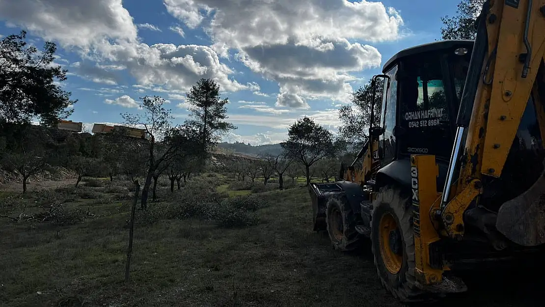 YK Enerji'den ağaç sökümü ile ilgili açıklama