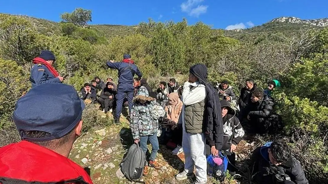 Bodrum'da 11'i çocuk 45 düzensiz göçmen yakalandı 1 gözaltı