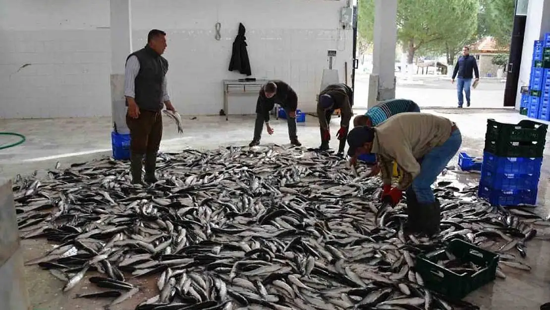 Muğla'nın Ocak ayı ihracat rakamları belli oldu!