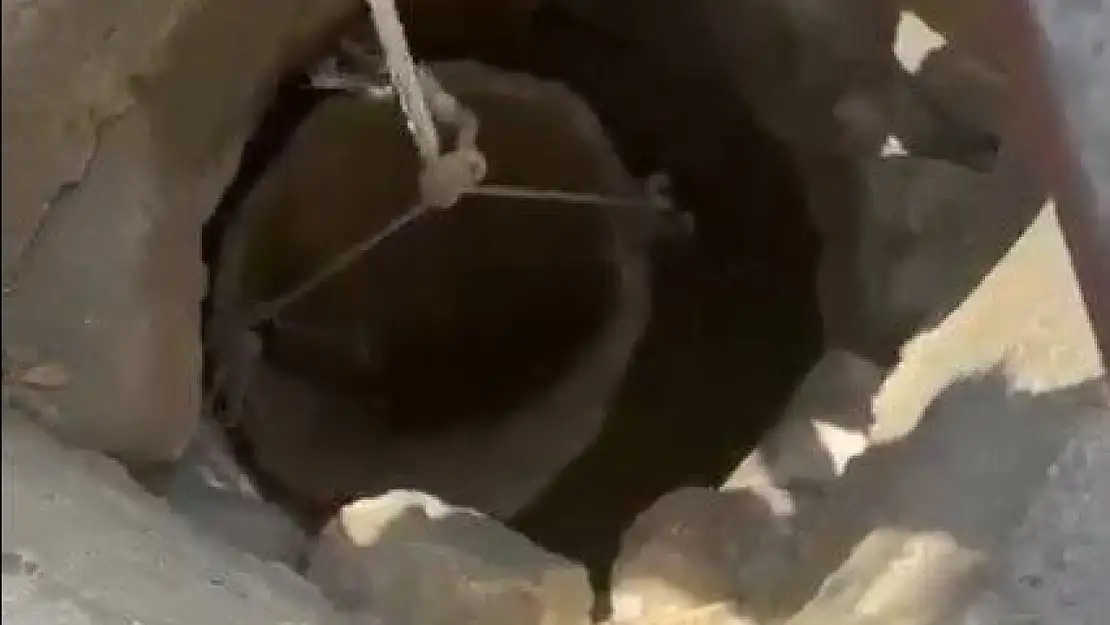 Yatağan'da 10 metrelik kuyuya düşen kediyi itfaiye kurtardı