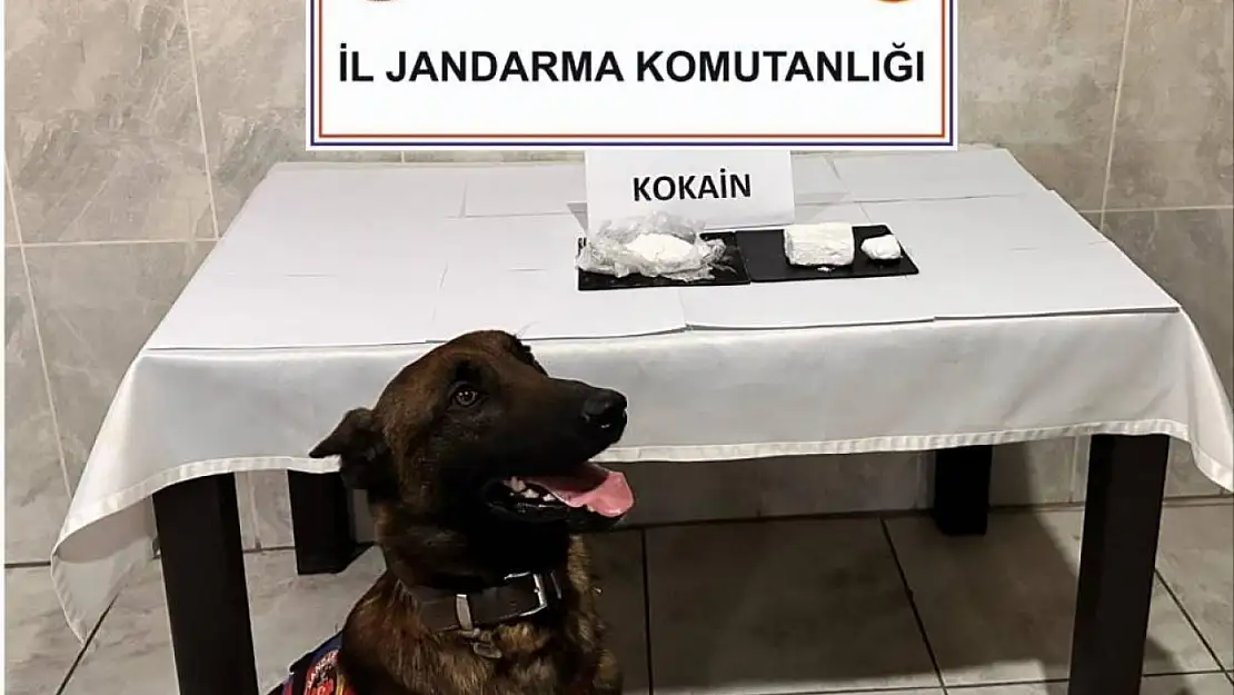 Yatağan'da yolcu otobüsünde 290 gram yasaklı madde ele geçirildi