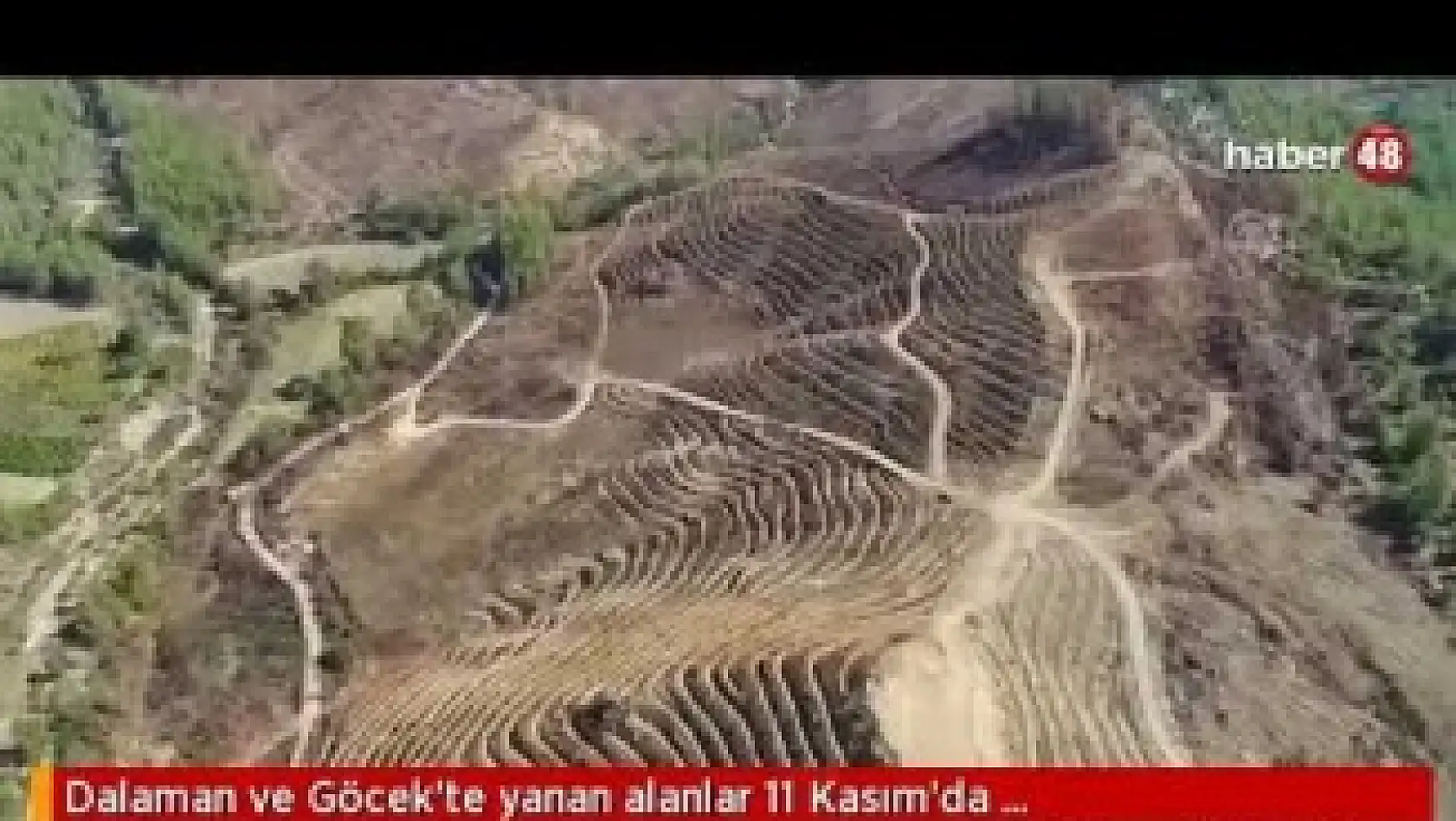 DALAMAN VE GÖCEK'TE AĞAÇLANDIRMA İÇİN HAZIRLIKLAR TAMAMLANDI