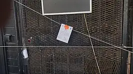 Bodrum'da 4 işletme mühürlendi