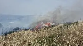 Bodrum'da makilik alanda yangın: 5 hektar zarar gördü
