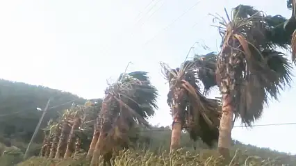Aman dikkat! Muğla'da fırtına kapıda