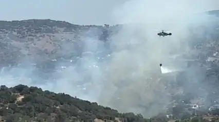 Milas'ta ziraat alanında yangın paniği: Ekipler yangını çevreledi