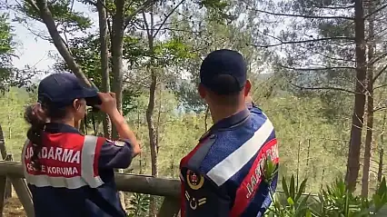 Muğla'da yeşil vatan nöbeti