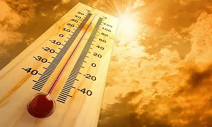 Aşırı sıcaklar bir haftada 264 can aldı!