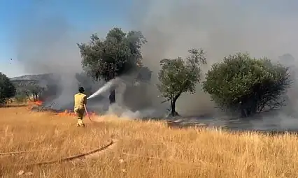 Milas Pınarcık ve Demirciler yangını kontrol altına alındı