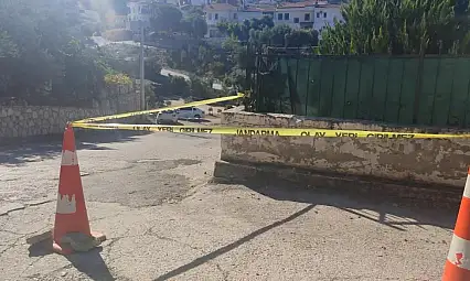 Milas'ta acı olay! Domuz sürüsünden kaçarken ağır yaralandı