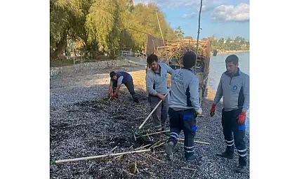 Rodos'un pisliği Datça'yı vurdu Yeniden temizlik çalışmaları planlandı