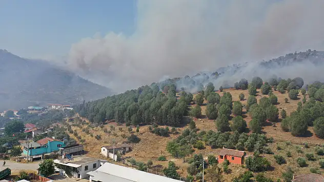 Aydın'da korkutan yangın! Muğla'dan takviye ekipler gönderiliyor