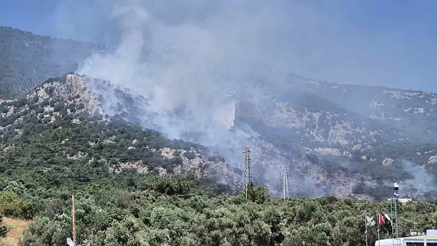 Bodrum'da çıkan orman yangını kontrol altına alındı