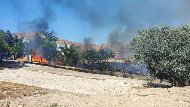 Bodrum'da çıkan yangın vatandaşları korkuttu