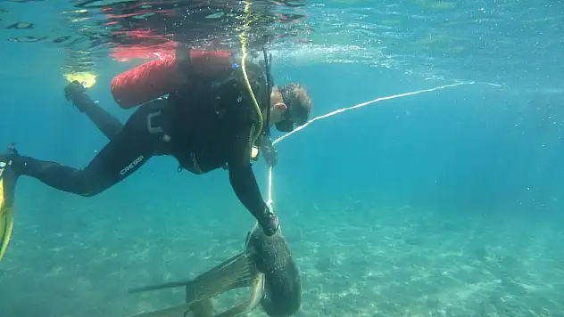 Bodrum'da deniz dibi temizliği seferberliği! 168 kilogram atık çıkarıldı