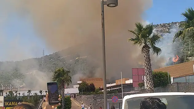 Bodrum'da orman yangını! Havadan ve karadan müdahale ediliyor