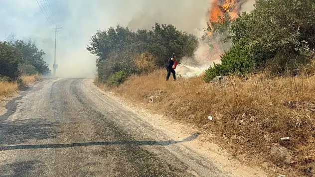 Bodrumda makilik alanda yangın paniği! Ekipler seferber oldu