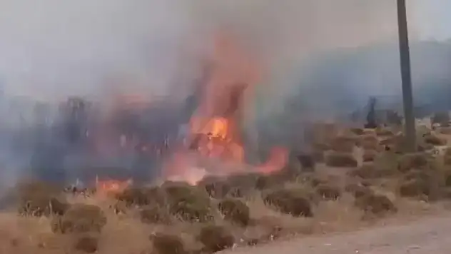Çanakkale'de korkutan yangın