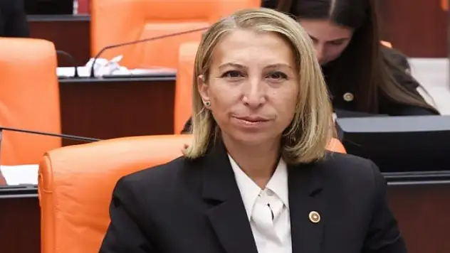 CHP Muğla Milletvekili Süreyya Öneş Derici, 'Terörsüz Türkiye' komisyonunda yer alacak