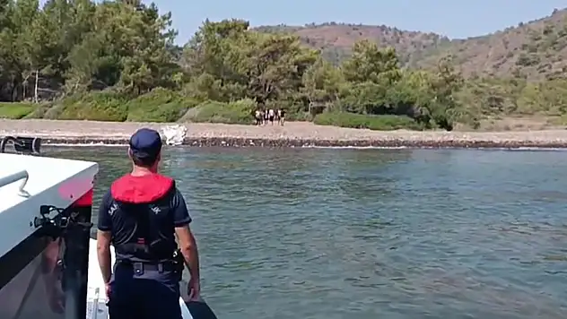 Datça'da 6 düzensiz göçmen yakalandı