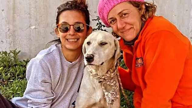 Depremden kurtarılmıştı: Sevimli köpek Datça'da yeni hayatına başladı