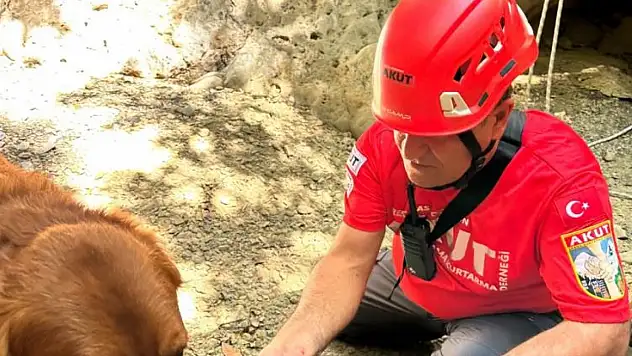 Fethiye'de dere yatağında sıkışan köpek kurtarıldı