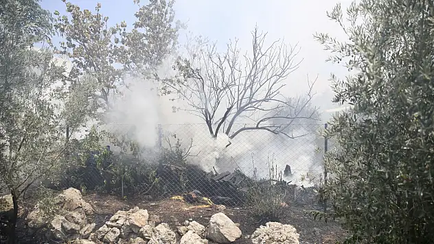 Fethiye'de korkutan yangın! Odunlukta başladı zeytin bahçesini sardı