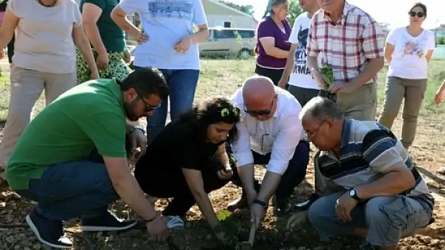 ZİHİNSEL ENGELLİLER İÇİN SOSYAL SORUMLULUK PROJESİ