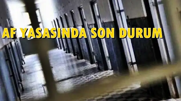 Af Yasasında Son Durum