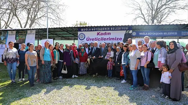 BÜYÜKŞEHİR 40 KADIN ÜRETİCİYE 120 KIL KEÇİSİ DAĞITTI