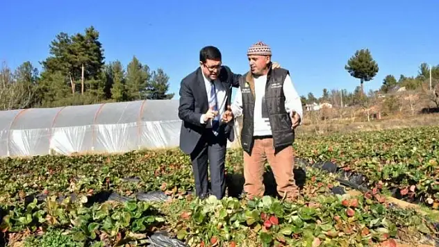 Barış Saylak Yatağan ve Kavaklıdere'yi Ziyaret Etti