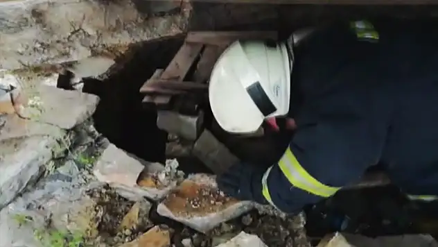 SARNIÇTA MAHSUR KALAN YAVRU KEDİLERİ İTFAİYE KURTARDI