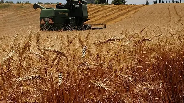 İç Savaş Ülkesi Suriye'den 20 Bin Ton Hububat İthal Edilecek!