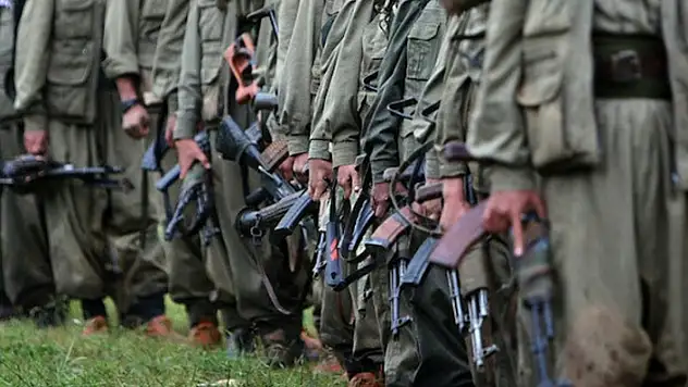 Diyarbakır'da PKK'lı Teröristler Köylülere Saldırdı!
