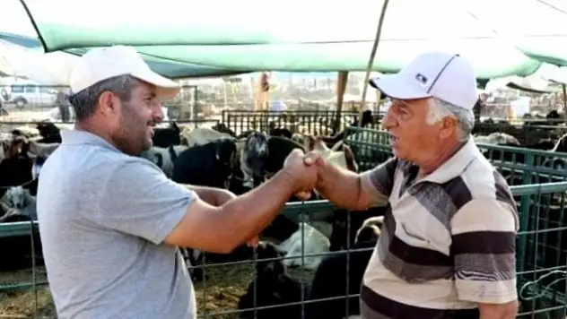 Hayvan Pazarlarında Tokalaşma Tarihe Karışıyor