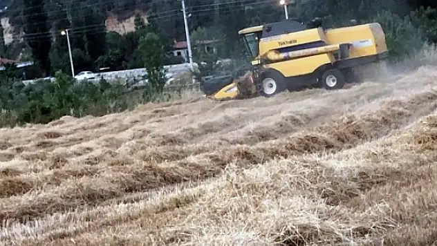Kavaklıdere'de Organik Buğday Hasadı Başladı
