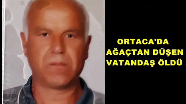 Ortaca'da Budamak İçin Çıktığı Ağaçtan Düşen Vatandaş Öldü