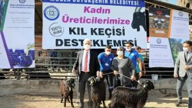 Muğla Büyükşehirden 140 Aileye 420 Keçi Desteği
