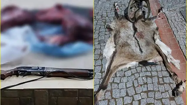 Milas'ta Kaçak Avcı Yaban Keçisini Vurup Derisini Yüzdü!
