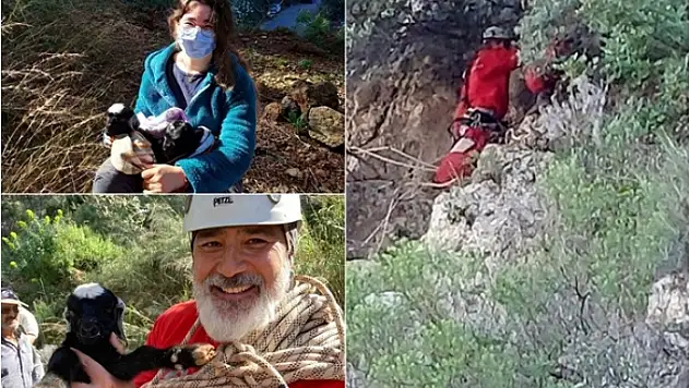 Fethiye'de Kayalıklarda Mahsur Kalan Keçi ve Yeni Doğan Yavruları Kurtarıldı
