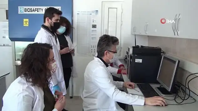 Muğla Sıtkı Koçman Üniversitesi Sars-CoV-2'yi Durduran Bileşik Bulundu