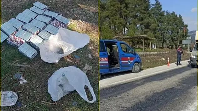 Muğla'da Jandarmanın Durdurduğu Otobüste Böreğin İçinden Esrar Çıktı