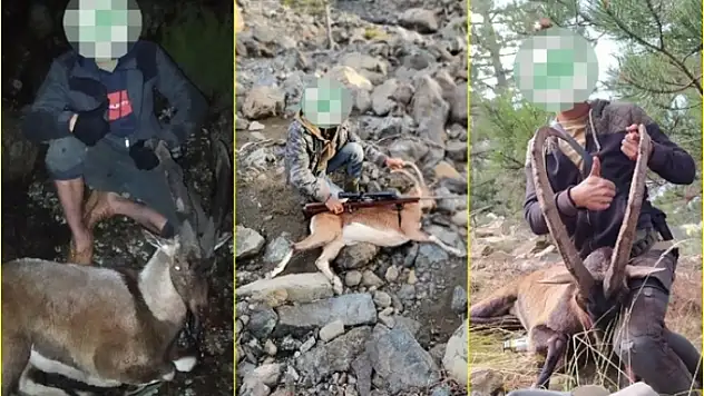 Muğla'dan Denizliye Giderek Kaçak Dağ Keçisi Avlayan 6 Kişiye 166 Bin 662 Lira Ceza
